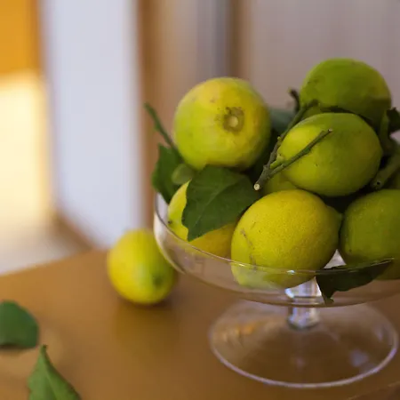 Avantgarde Conversano